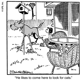 marmaduke